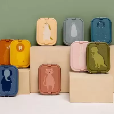 Caixas coloridas pequenas com tampas decoradas com figuras de animais sobre blocos