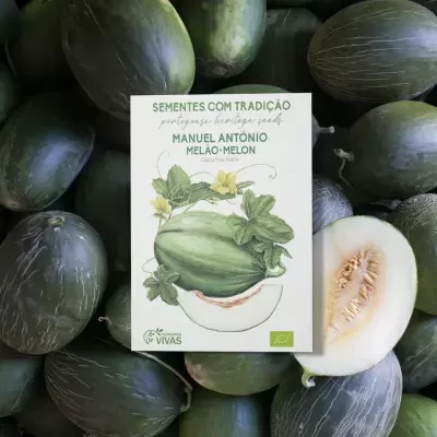 Pacote de sementes Manuel Antonio Melão-Melon sobre melões verdes e um melão cortado ao meio