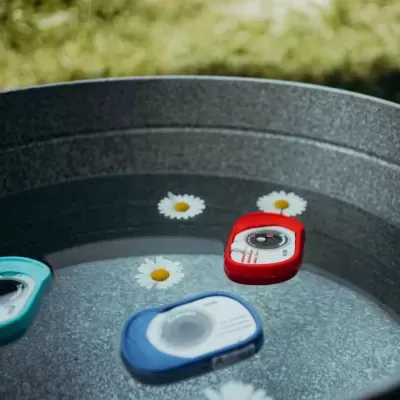 Três alarmes coloridos a flutuar numa bacia metálica com água e flores de margarida