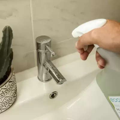 Torneira cromada num lavatório branco com um vaso decorativo com cacto e mão a segurar pulverizador