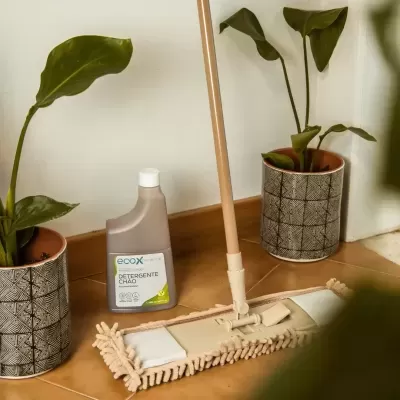 Detergente chão ECOX e esfregona junto a plantas em vasos decorativos
