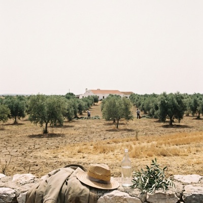 Jacket and straw hat on stone wall with bottle and olive branches in olive tree field