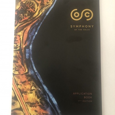 Capa de livro preto com padrão colorido abstrato e texto dourado