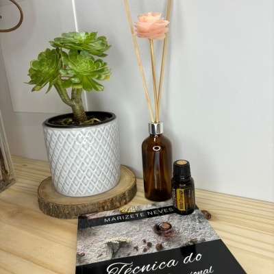 Vaso branco com planta verde, difusor de fragrância, frasco de óleo essencial e livro sobre madeira