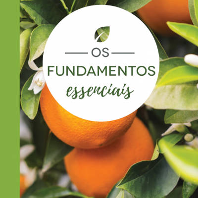 Laranjas com folhas verdes e texto 'OS FUNDAMENTOS essenciais' em círculo branco