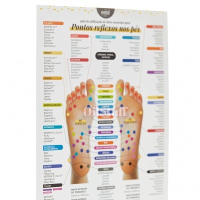 Diagrama colorido de reflexologia podal com nomes de plantas medicinais em português.