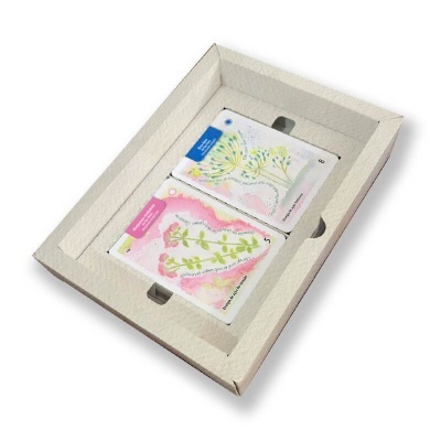 Caixa de cartão com dois saquinhos ilustrados de plantas