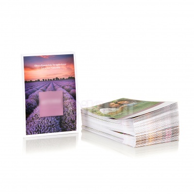 Pacote de cartões fotográficos com imagem de campo de lavanda e texto