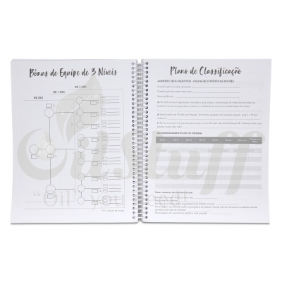 Livro aberto com diagrama e texto em português.