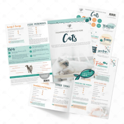 Folhetos coloridos para sprays para gatos com texto informativo e imagens de gatos
