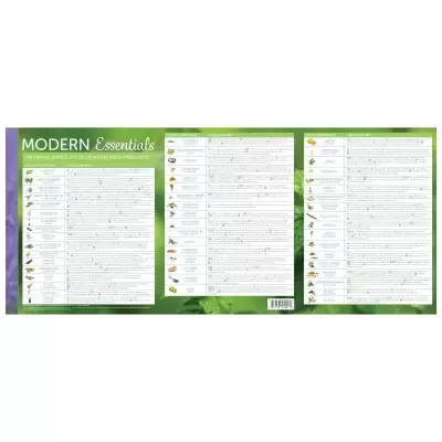 Poster informativo com título MODERN Essentials sobre fundo verde e roxo