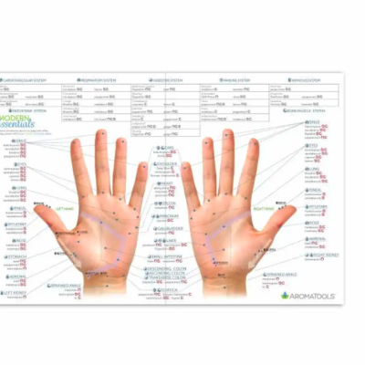 Cartão de reflexologia com ilustração das palmas das mãos marcadas com pontos de pressão