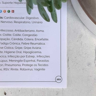 Página impressa com lista de condições médicas em português sobre uma mesa clara ao lado de planta verde