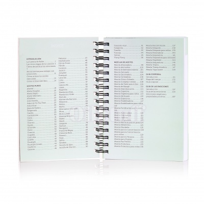 Livro de receitas aberto com espiral metálica e índice em página verde claro