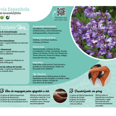 Página informativa sobre Sálvia Espanhola com texto, imagens de flores violetas e fotografias de pessoas