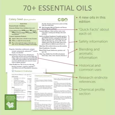 Página informativa sobre óleos essenciais destacando óleo de aipo com segurança, usos e química