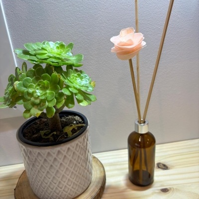 Planta suculenta em vaso branco e difusor com palitos e flor cor de rosa em frasco âmbar