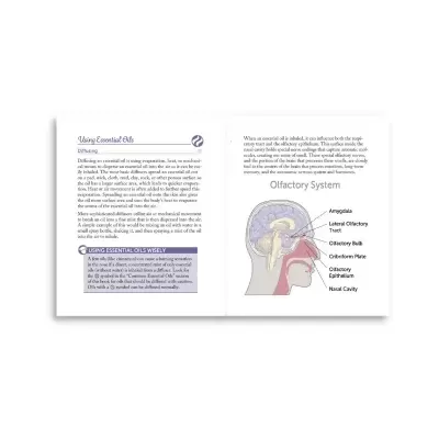 Página de livro mostrando texto e diagrama do sistema olfativo humano