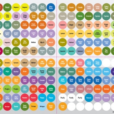 Círculos coloridos com nomes de cores escritos em inglês num fundo branco