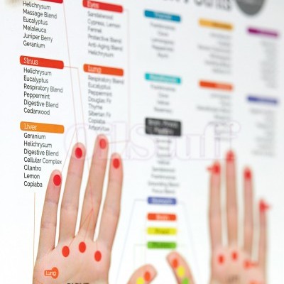 Cartaz de pontos reflexos na mão com listas de óleos essenciais e blends para diferentes zonas do corpo