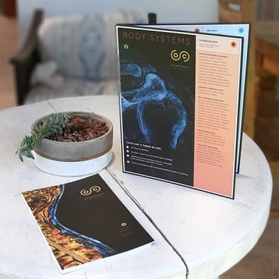 Dois livretos sobre sistemas corporais numa mesa branca com vaso e planta suculenta.