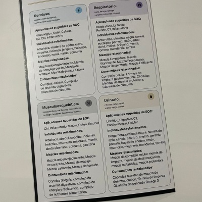 Folheto impresso com texto em caixas coloridas sobre sistemas do corpo humano