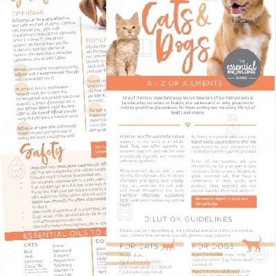 Folheto informativo sobre óleos essenciais para gatos e cães com imagens de um cão e um gato e texto explicativo.