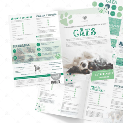 Folhetos informativos para cuidados de cães com imagem de cão e autocolantes verdes