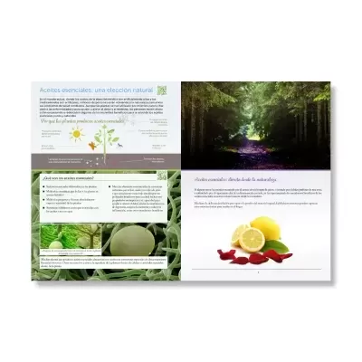 Folheto aberto com texto em português e imagens de plantas, frutas e floresta