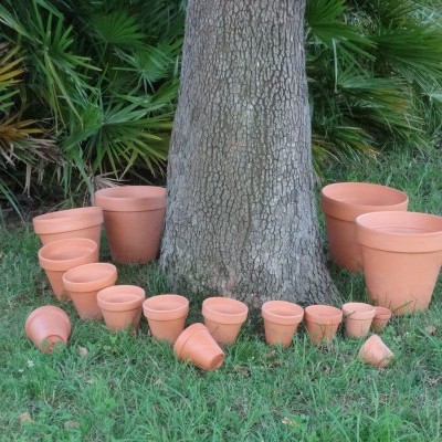 Conjunto de vasos de barro de várias dimensões na base de uma árvore