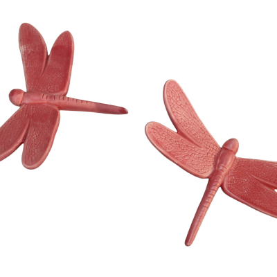 Decorações de libélula rosa vermelha em textura rachada
