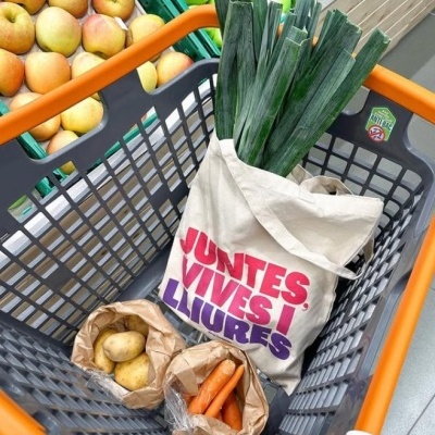 Carrinho de compras com legumes e saco de pano com texto em cores vibrantes.