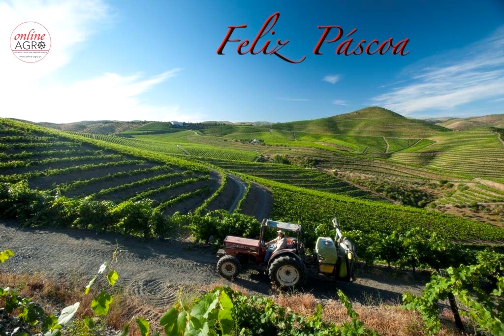 Paisagem de vinhas com trator e texto Feliz Páscoa