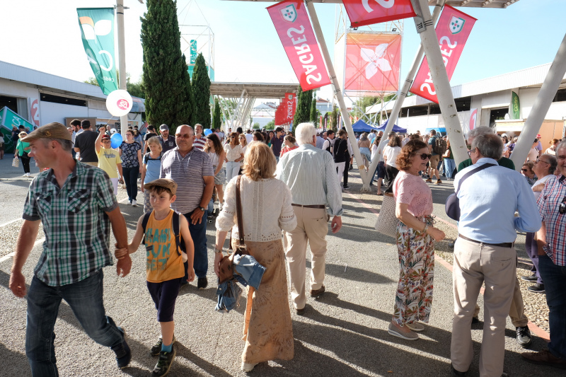 Feira ao ar livre com pessoas e tendas sob céu claro