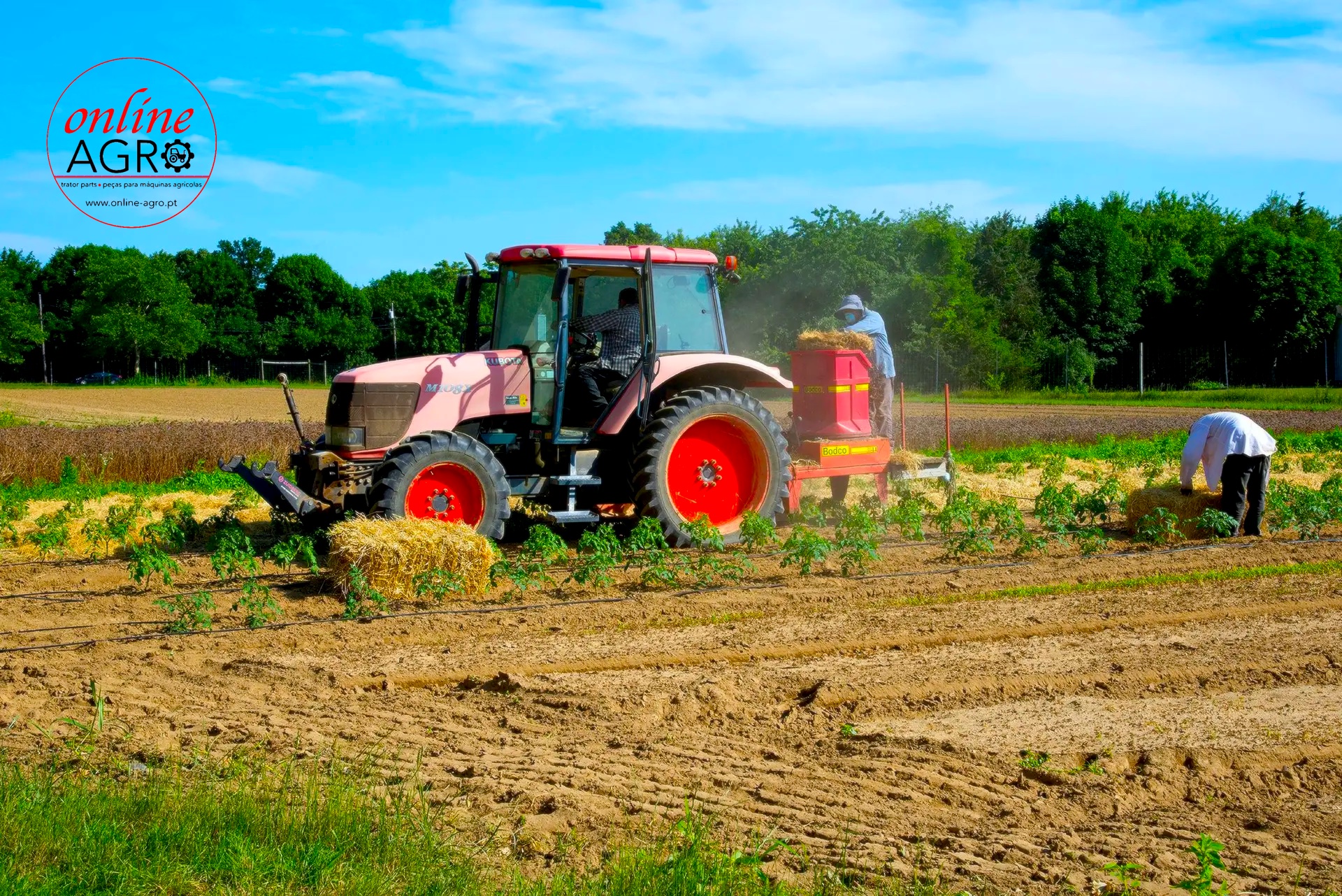 Trator vermelho a arar campo com duas pessoas a trabalhar na terra