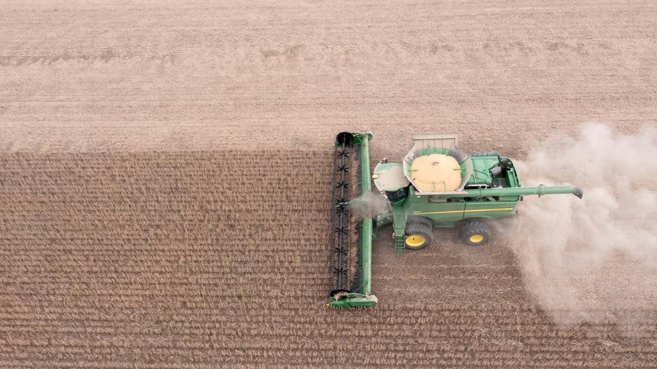 Colheitadeira verde a trabalhar num campo agrícola com poeira levantada.