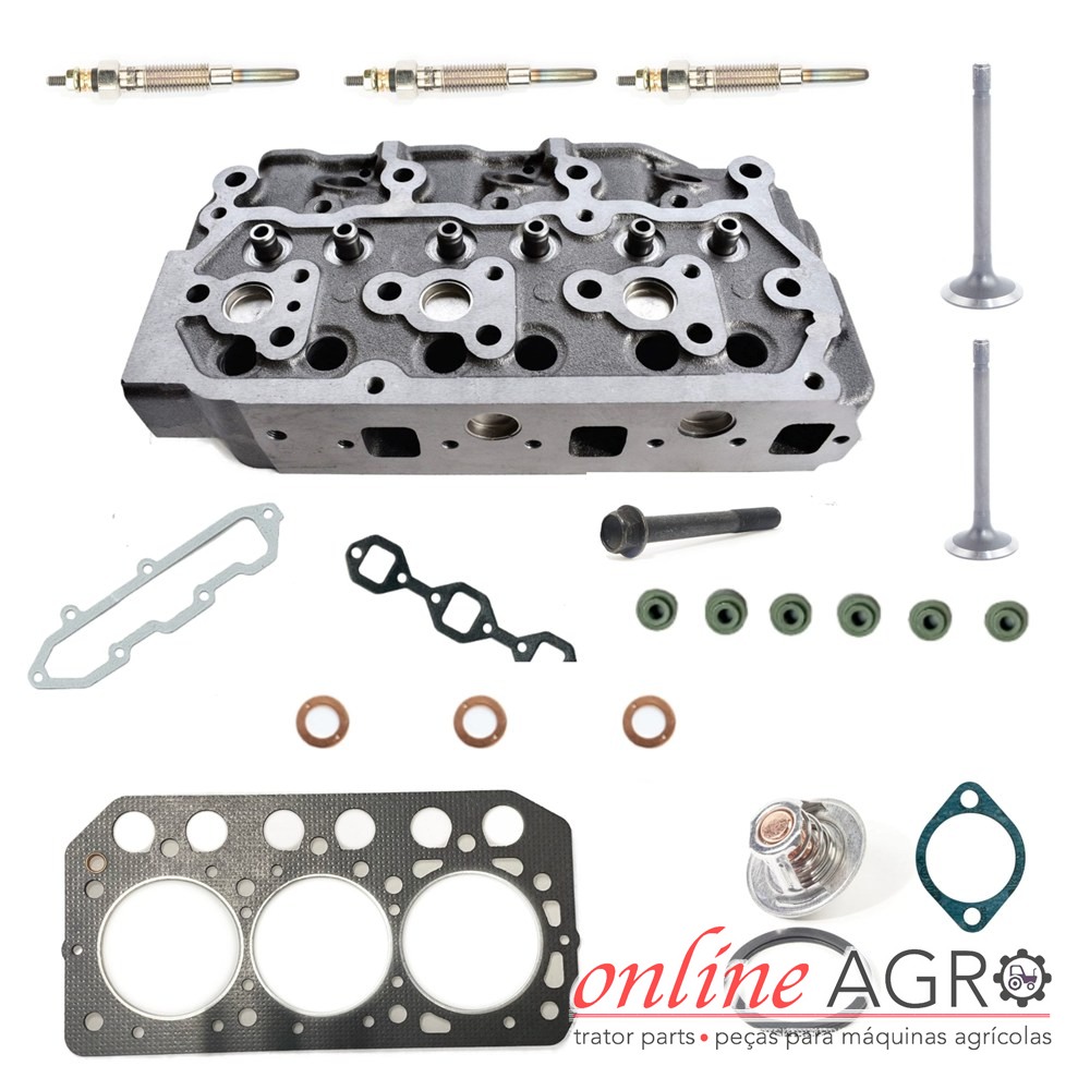 Kit de cabeça de motor, Mitsubishi, OAS990022PT Peças metálicas para motor e juntas sobre fundo branco com marca online AGRO.