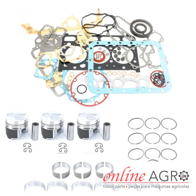 Conjunto de peças metálicas e juntas para motor com logo online AGRO