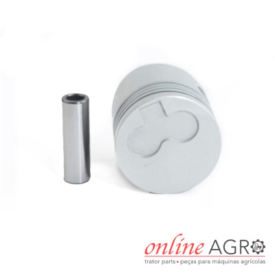 Pistão e pino metálicos prateados para máquinas agrícolas com fundo branco e logo online AGRO no canto