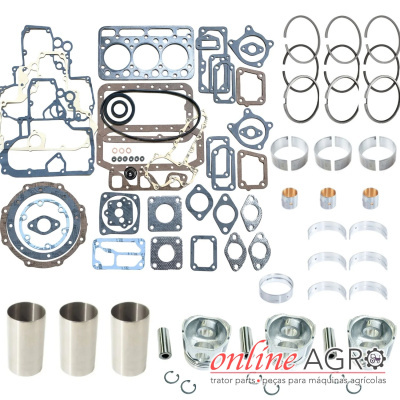 Conjunto de peças para motor agrícola com juntas, anéis, pistões e acessórios sobre fundo branco