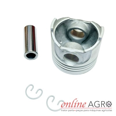 Conjunto de pistão metálico com acessórios e texto online AGRO