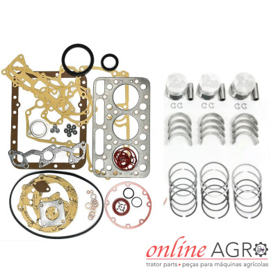 Conjunto de peças para motor agrícola com juntas, anéis metálicos e pistões sobre fundo branco.