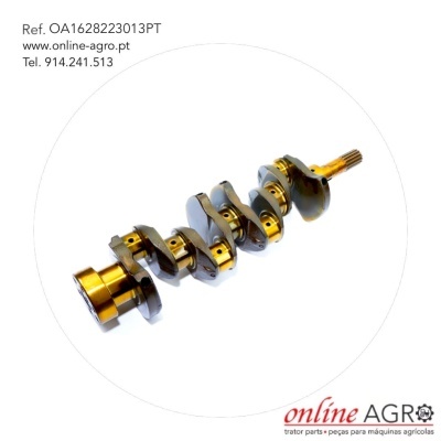 Virabrequim metálico dourado e cinza com texto de referência e logotipo online AGRO