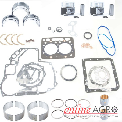 Conjunto de peças de motor e vedação sobre fundo branco com texto ONLINE AGRO