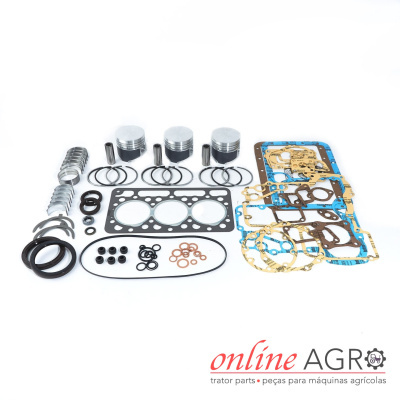 Conjunto de peças para máquinas agrícolas com pistões, juntas e anéis