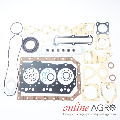 Conjunto de juntas para motor sobre fundo branco com texto online AGRO.