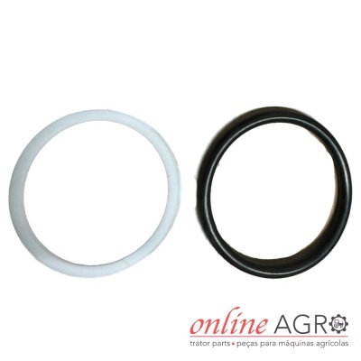 Dois anéis de vedação circulares preto e branco