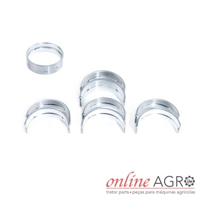 Conjunto de casquilhos metálicos de motor em fundo branco com logotipo online AGRO