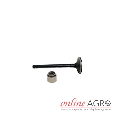 Válvula de motor preta com selo de vedação prateado sobre fundo branco com logótipo online AGRO