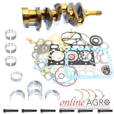 Conjunto de peças de motor incluindo virabrequim, casquilhos, juntas e parafusos com o texto ONLINE AGRO